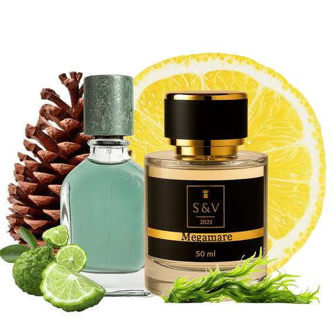 Парфум S&V Essence Megamare 50мл 372C фото